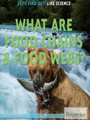 cover image of What Are Food Chains & Food Webs?